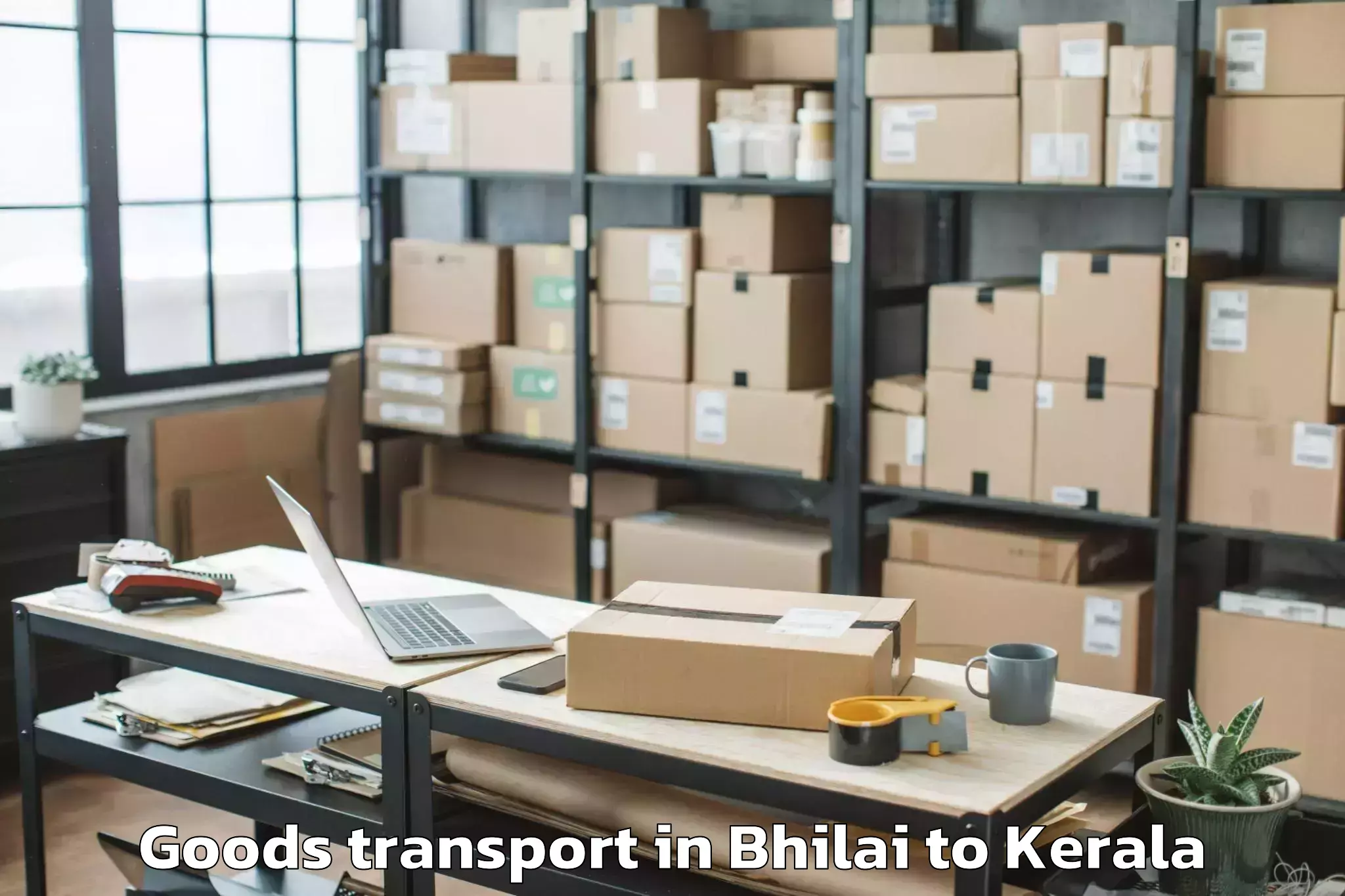 Top Bhilai to Kerala Kalamandalam Cheruthuru Goods Transport Available